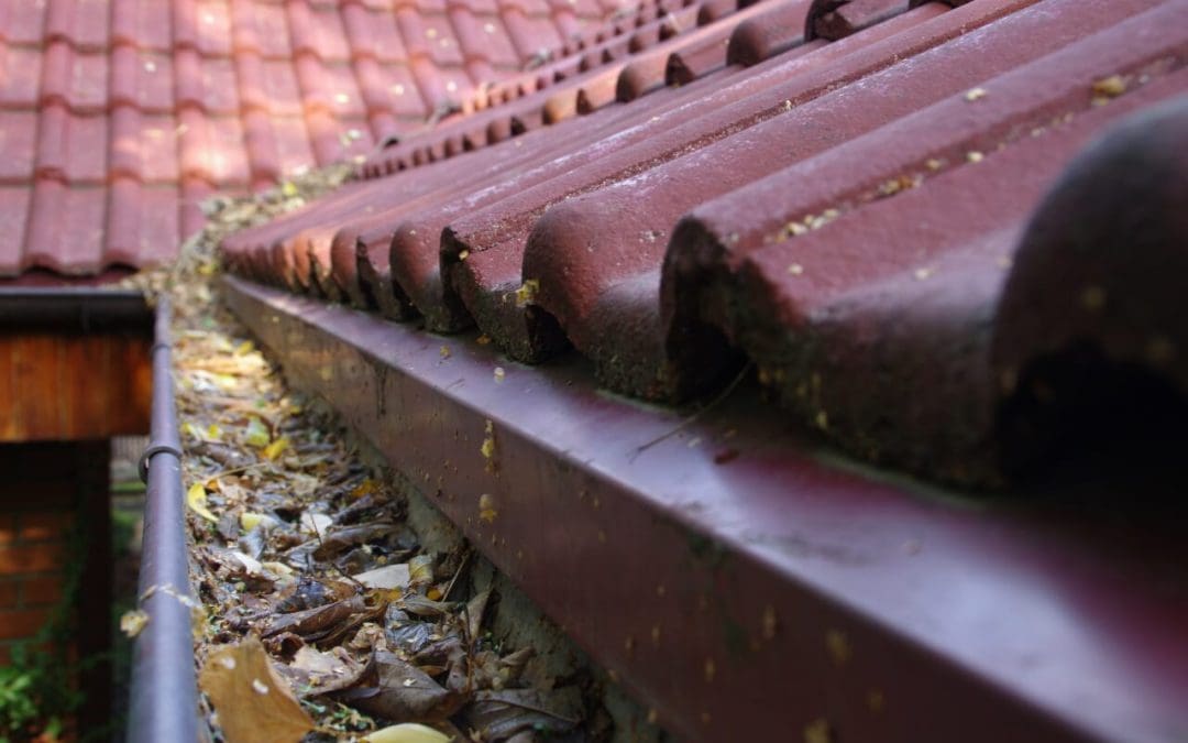 How to Clean Your Gutters Like a Pro