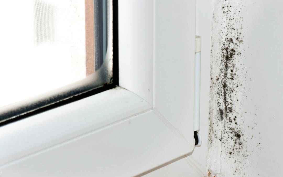 Prevent Mold Growth