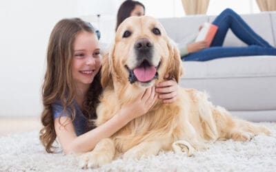 Fur Real: The Best Cleaning Tips for Pet Owners