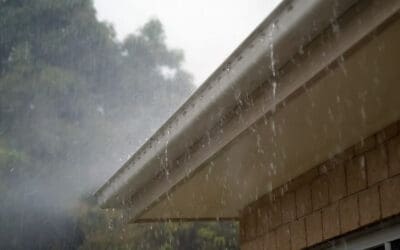 What’s on the Outside Counts: A Homeowner’s Guide to Exterior Maintenance